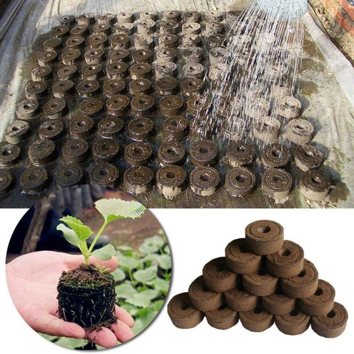 Sustainable Seedling Starter Kit with Biodegradable Peat Blocks for Thriving Gardens