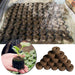 Sustainable Seedling Starter Kit with Biodegradable Peat Blocks for Thriving Gardens