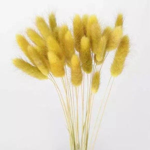 30pcs 100pcs Fluffy Bunny Tails Dried Flowers Arrangement Natural Rabbit Tail Grass for Vase Boho Floral for Wedding Home Decor-0-Très Elite-dark yellow-30pcs-Très Elite