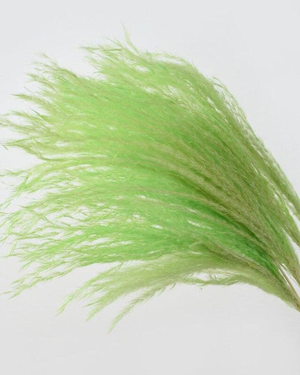 Dried Pampas Grass Bouquet - Elegant Rustic Decor for Homes and Weddings