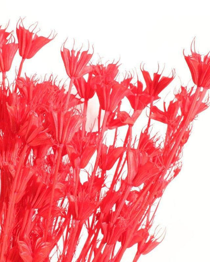 Enchanting Anise Floral Harmony Delights