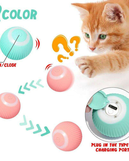 Interactive Smart Cat Ball: The Ultimate Indoor Playtime Companion for Your Cat