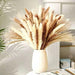 Elegant Small Pampas & Reed Grass Bouquet | Natural Dried Flowers for Sophisticated Décor