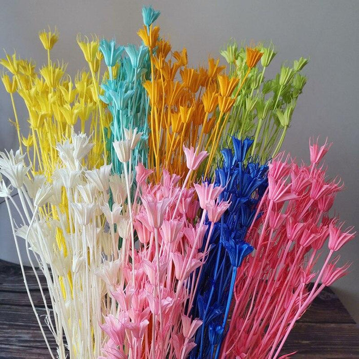 Enchanting Anise Floral Harmony Delights