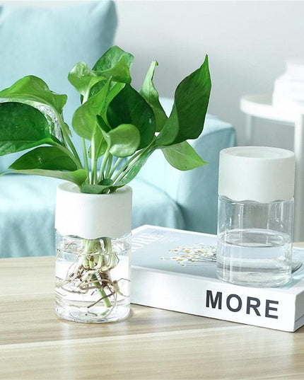 Sleek Transparent Self-Watering Vase: Modern Design for Easy Plant Care and Growth