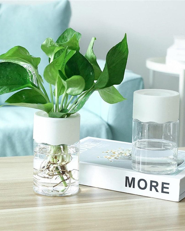 Sleek Transparent Self-Watering Vase: Modern Design for Easy Plant Care and Growth