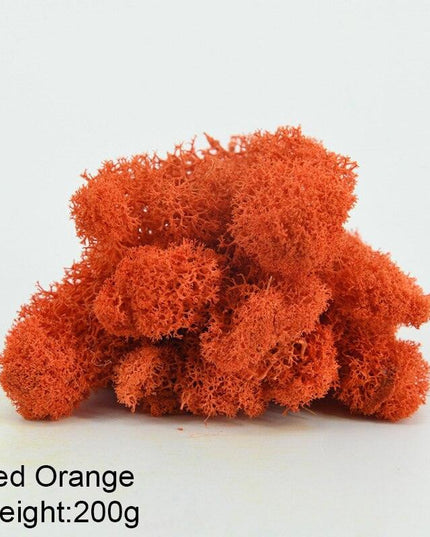 Timeless Greenery Art Creation Kit - Eternal Moss & Custom Grass Mix - 200g