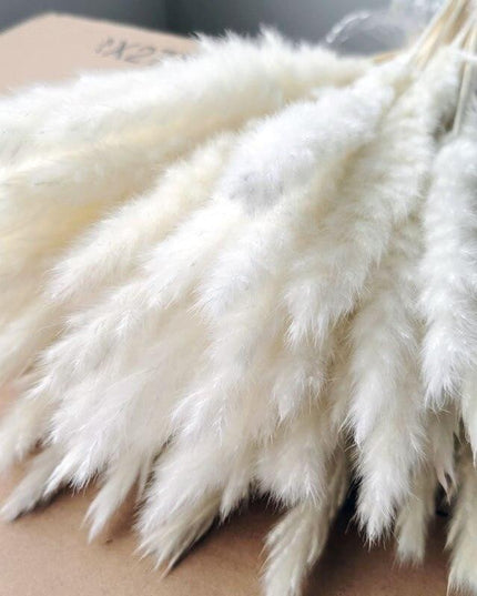 Timeless Elegance Pampas Grass Arrangement: A Chic Addition to Your Home Decor