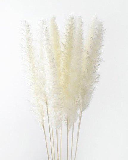 Dried Pampas Grass Bouquet - Elegant Rustic Decor for Homes and Weddings