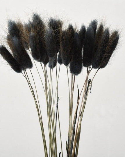 Rustic Boho Bunny Tail Dried Flower Arrangement for Weddings and Home Decor