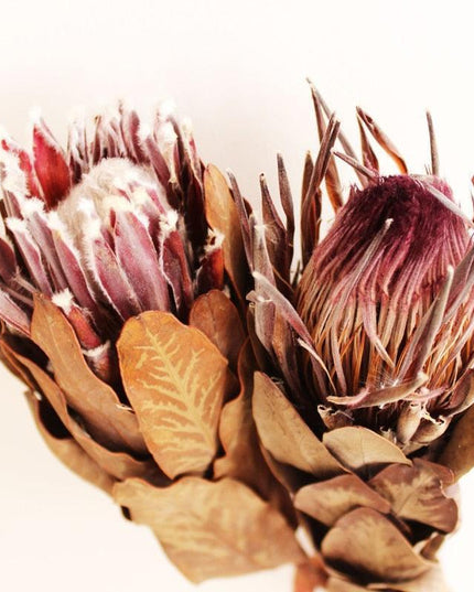 Elegant Purple and White Floral Arrangement - Premium Imported Home and Event Decor Piece