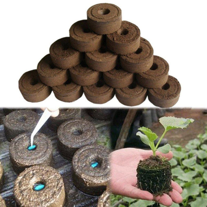 Eco-Friendly Seedlings Transplanter Kit with Biodegradable Peat Blocks - Ultimate Gardening Tool for Successful Plant Growth