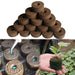Sustainable Seedling Starter Kit with Biodegradable Peat Blocks for Thriving Gardens
