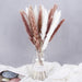 Elegant Natural Dried Pampas Grass Bouquet Set - Perfect for Weddings & Home Decor - 15 Pieces