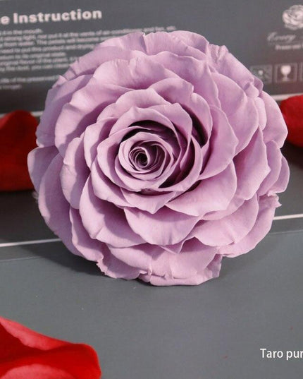 Timeless Grace: Luxurious Preserved Rose Head for Lasting Splendor