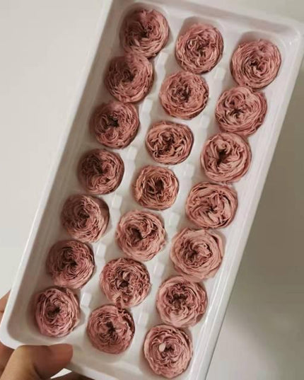 Austin Rose Miniature Bouquet - Luxurious Preserved Grade A Flowers for Timeless Décor and Gifting