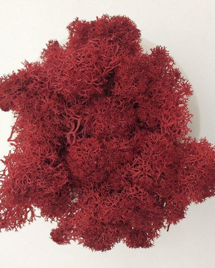 Timeless Elegance Moss Collection: Luxurious Artificial Plants for Upscale Home Decor