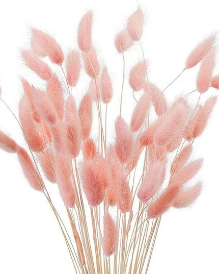 Whimsical Dried Bunny Tail Floral Arrangement - Elegant Home Decor