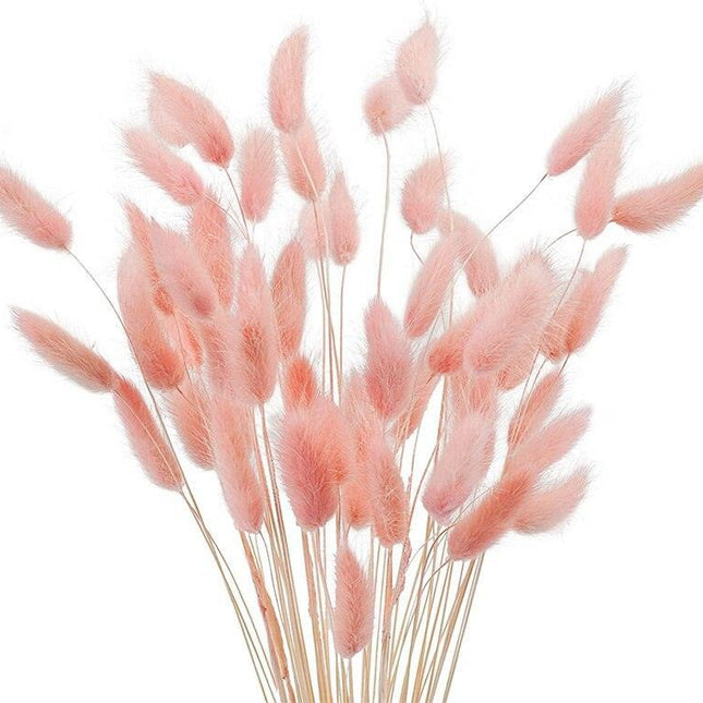 Whimsical Dried Bunny Tail Floral Arrangement - Elegant Home Decor