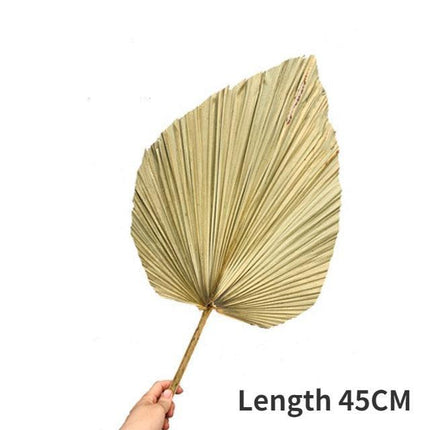 Bohemian Chic: Exquisite Palm Leaf and Pampas Grass Decor for Home and Weddings