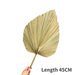 Bohemian Chic: Exquisite Palm Leaf and Pampas Grass Decor for Home and Weddings