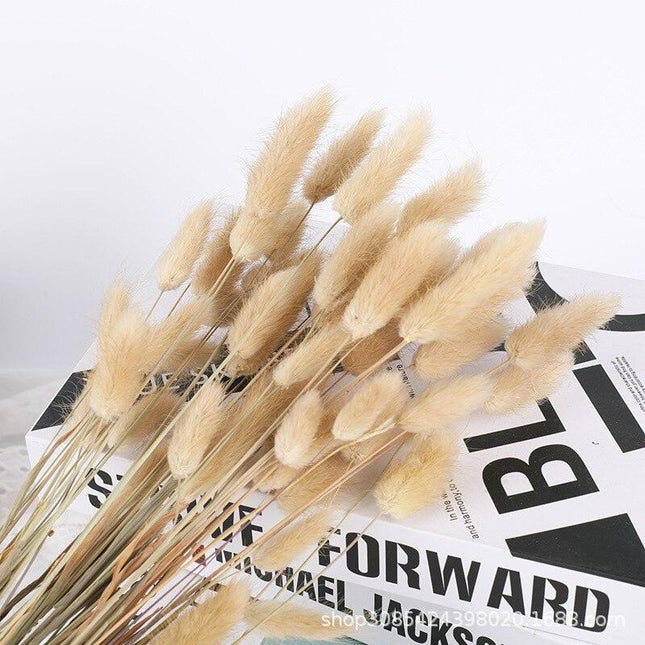 Boho Chic Dried Bunny Tail Floral Arrangement - Elegant Rustic Home Accent