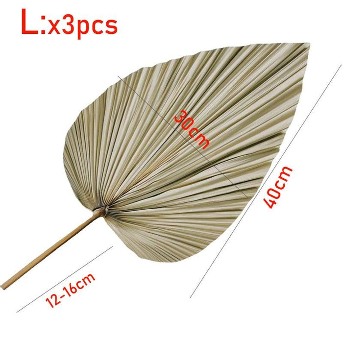 3-Piece Large Dried Palm Fronds for Boho Decor