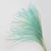 Elegant Reed and Pampas Grass Flower Arrangement - Luxurious Botanical Decor for Special Occasions and Home Décor