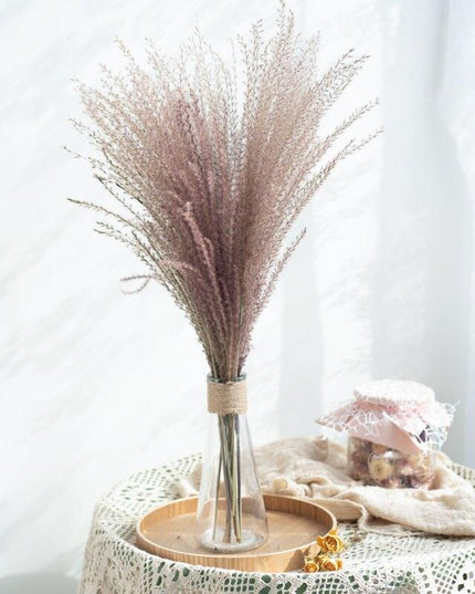 Timeless Pampas Reed & Whisk Dust Dried Flowers Collection for Elegant Home Decor & Events