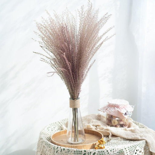 Eternal Elegance: Premium Pampas Reed & Whisk Dust Dried Flowers Set for Timeless Home Decor & Events