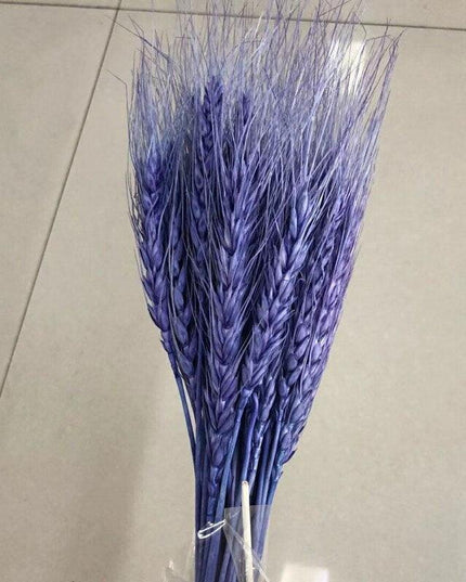 Golden Wheat Ear Dried Bouquet Collection - 45 Natural Stalks