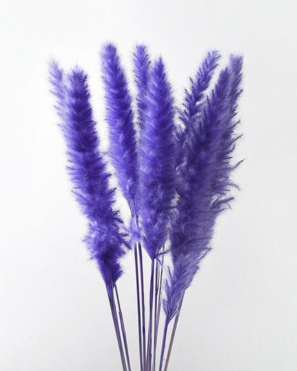 Dried Pampas Grass Bouquet - Elegant Rustic Decor for Homes and Weddings