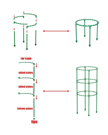 Versatile Plant Support Stake: Essential Tool for Thriving Gardens and Greenhouses