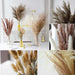 Exotic Bulrush Pampas Grass Set for Elegant Home Styling