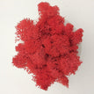 big red / 100 g