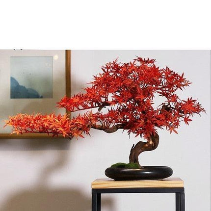 Stunning Lifelike Red Maple Bonsai Tree - Exquisite Desk Ornament