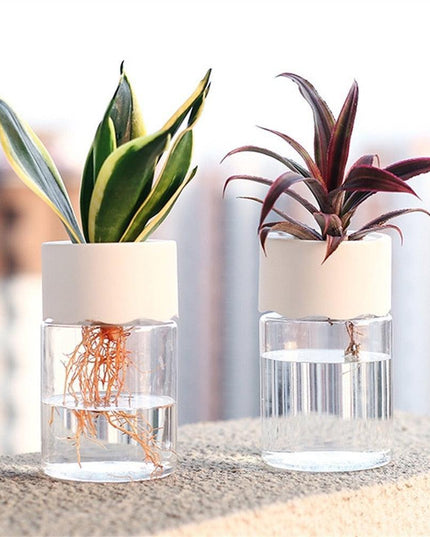 Sleek Transparent Self-Watering Vase: Modern Design for Easy Plant Care and Growth