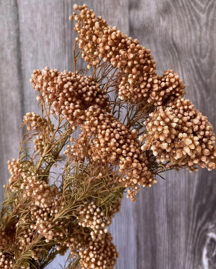 Timeless Treasures: Preserved Millet Flowers for Elegant Wedding Decor