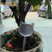 Animal-Inspired Smart Plant Watering System for Lush Gardens - Large Capacity and Stylish Design