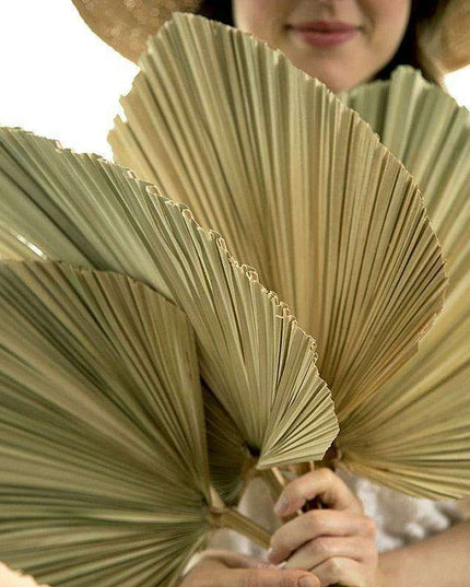 Exquisite Bohemian Dried Palm Fronds Collection