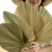 3-Piece Large Dried Palm Fronds for Boho Decor