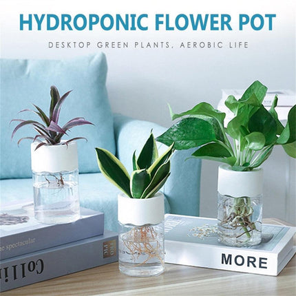 Sleek Transparent Self-Watering Vase: Modern Design for Easy Plant Care and Growth - Très Elite