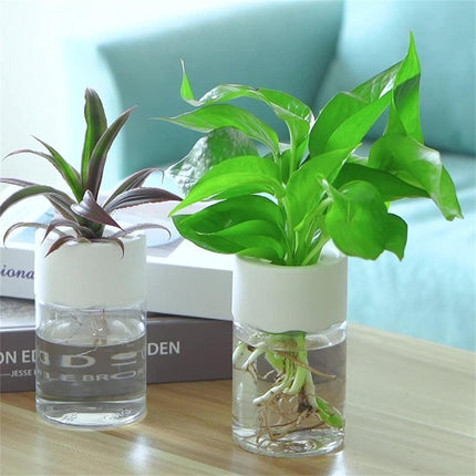 Sleek Transparent Self-Watering Vase: Modern Design for Easy Plant Care and Growth - Très Elite
