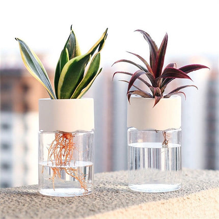 Sleek Transparent Self-Watering Vase: Modern Design for Easy Plant Care and Growth - Très Elite