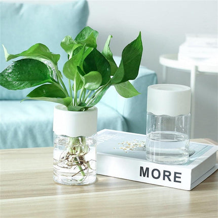 Sleek Transparent Self-Watering Vase: Modern Design for Easy Plant Care and Growth - Très Elite