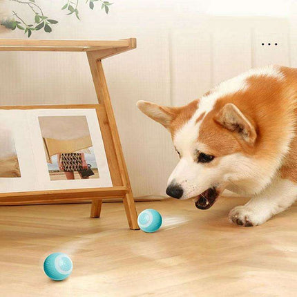 Smart Rolling Cat Toy: Interactive Fun for Indoor Kittens - Très Elite