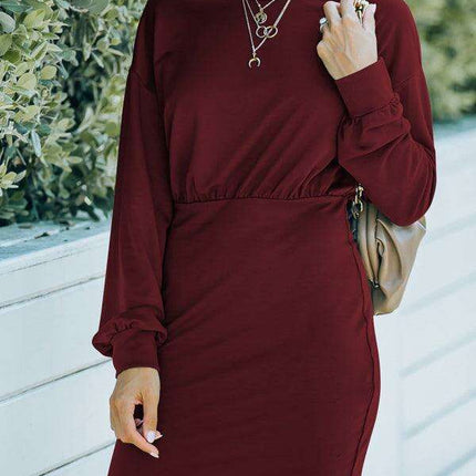 Sophisticated High Waist Knit Dress with Dramatic Balloon Sleeves