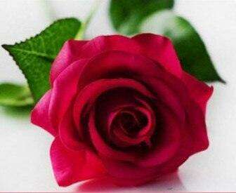 Stunning 50-Piece Realistic Faux Rose Bouquet - Perfect for Home & Wedding Decor - Très Elite