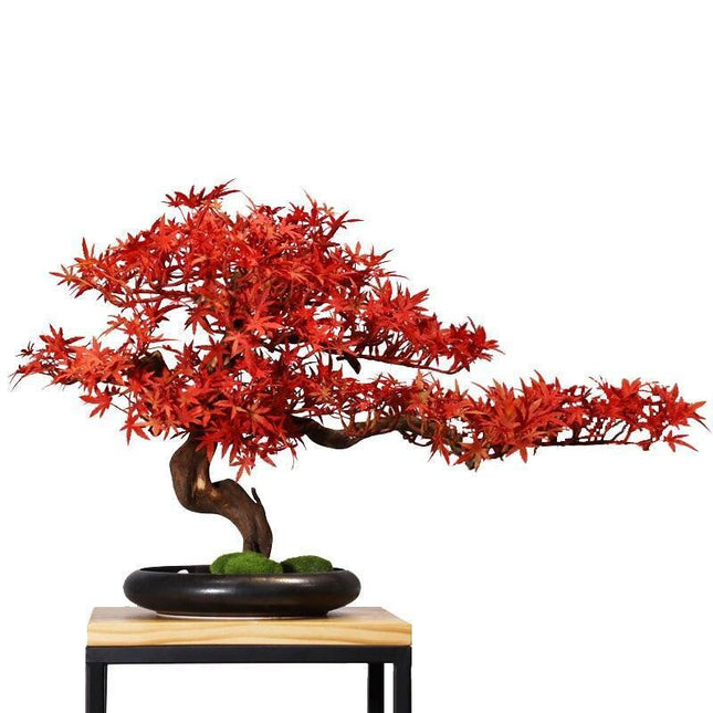 Stunning Lifelike Red Maple Bonsai Tree - Exquisite Desk Ornament