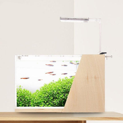 Sustainable Mini Aquarium with Customizable LED Lighting